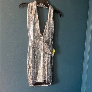 Windsor Shimmering Silver Backless Dress